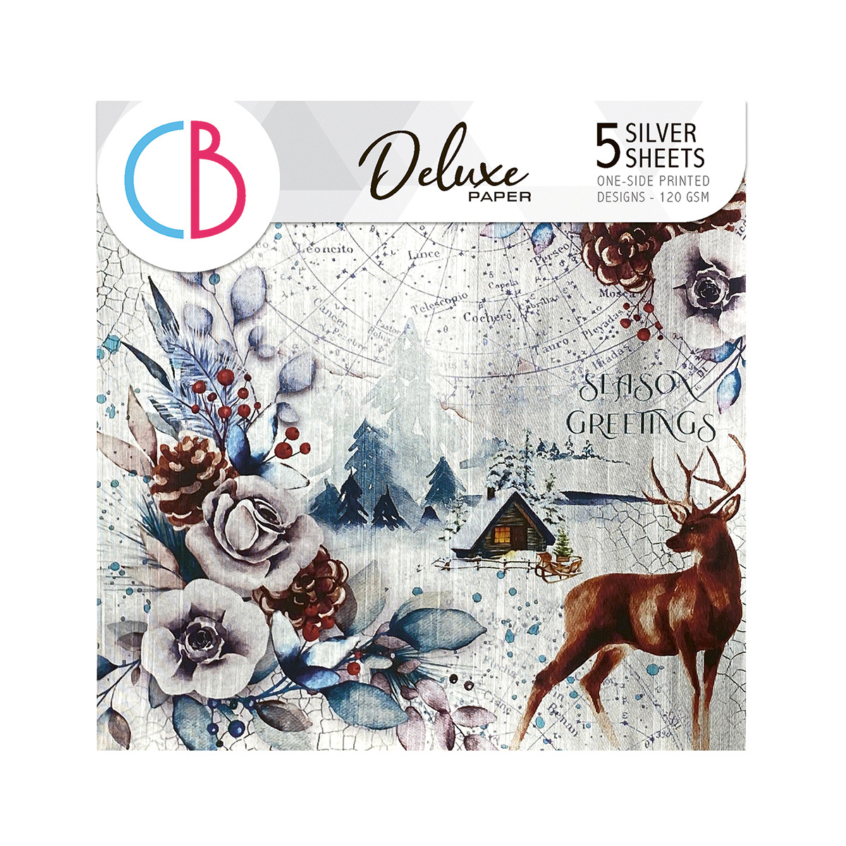 Winter Journey Deluxe Paper Silver 6"x6" 5/Pkg