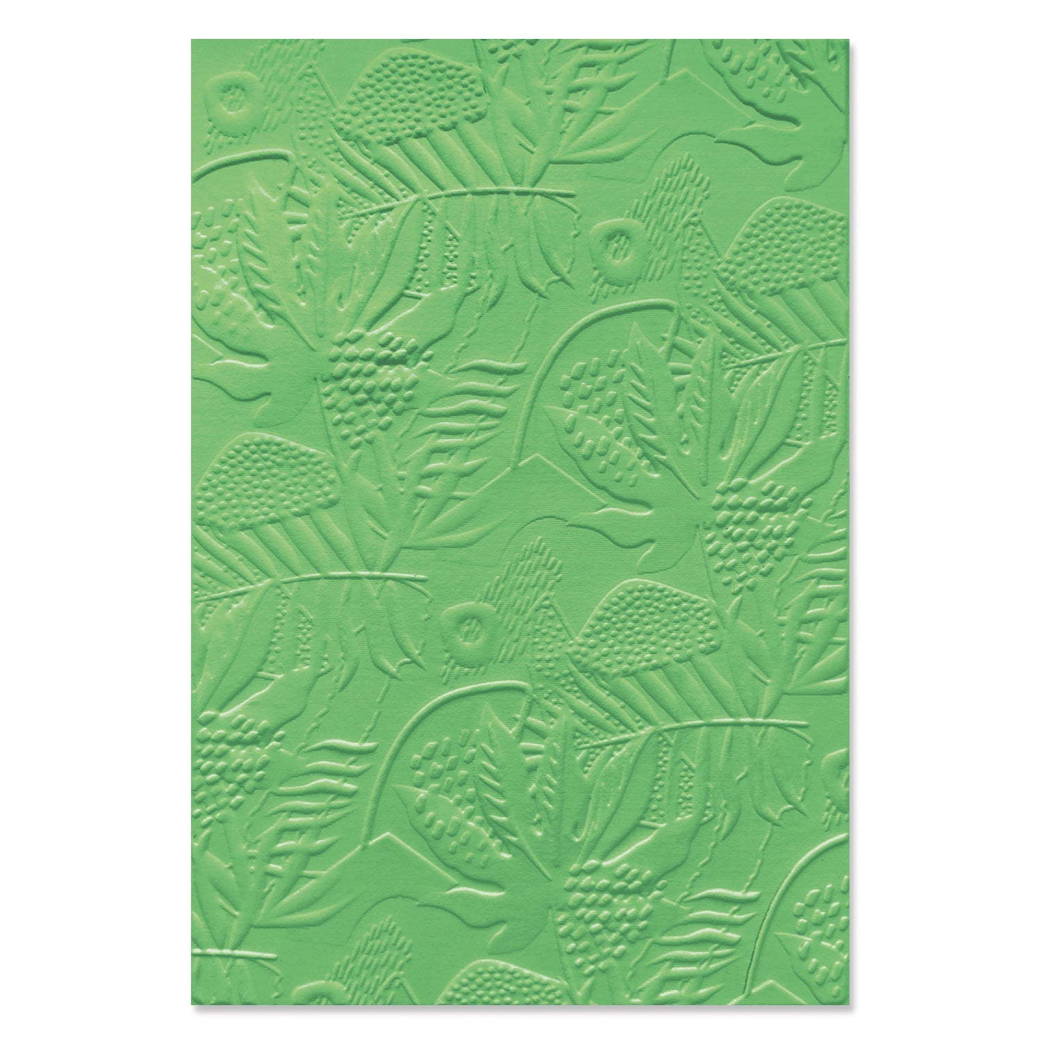 Sizzix 3-D Textured Impressions Embossing Folder - Jungle Textures by Catherine Pooler