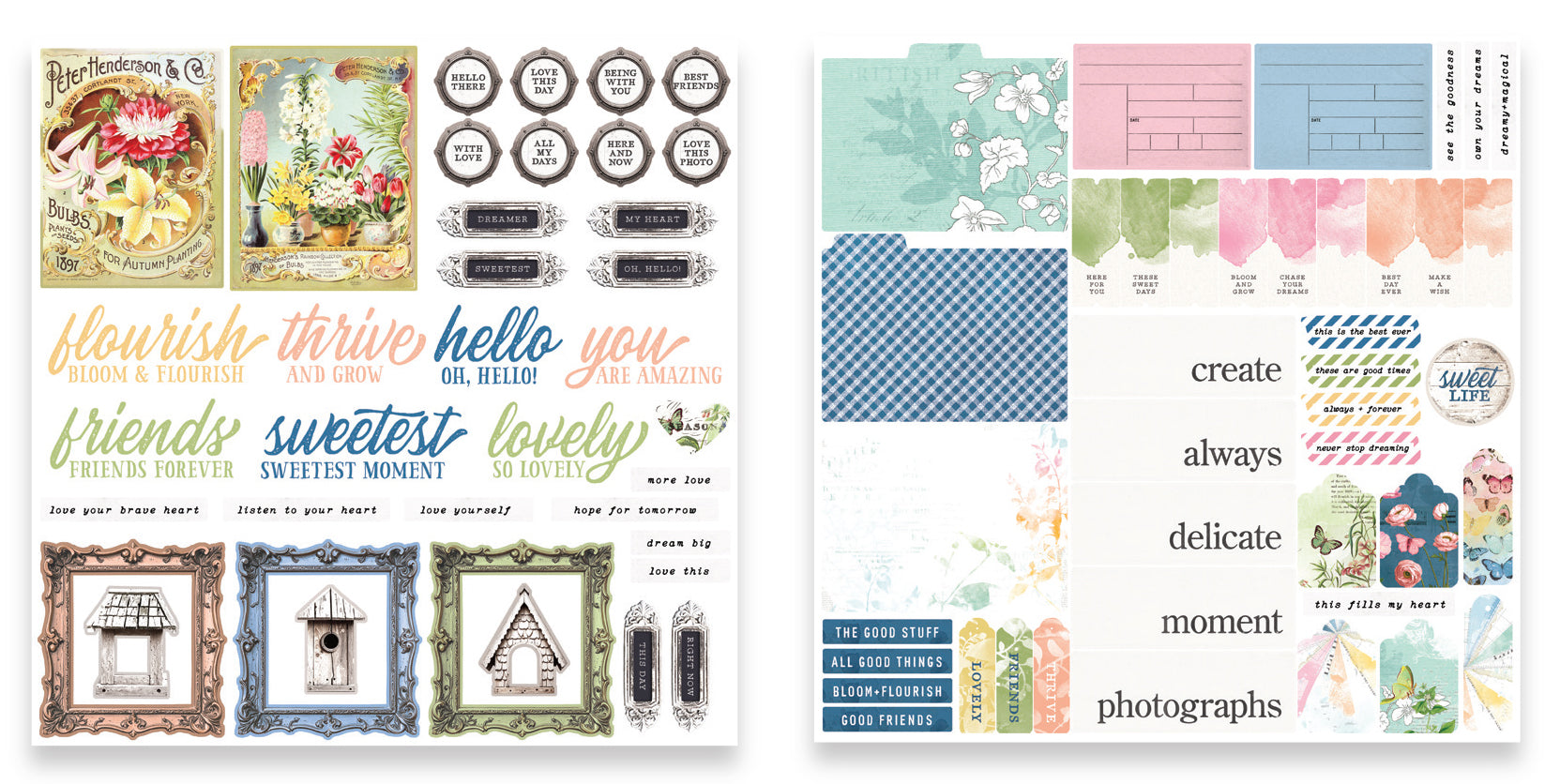 Arden Creative Studio Field Notes Ephemera Pack