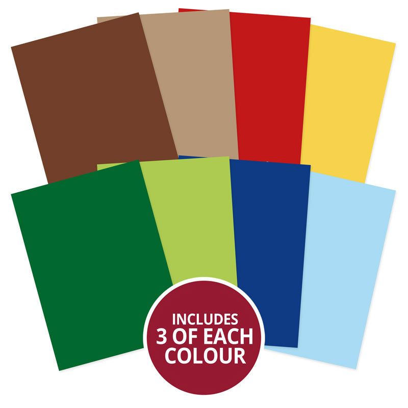 Teddy Time Adorable Scorable Selection