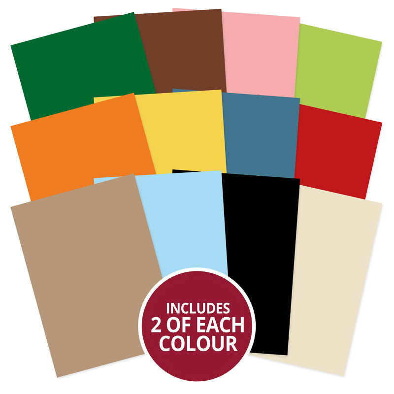 Quirky Animals Adorable Scorable Selection