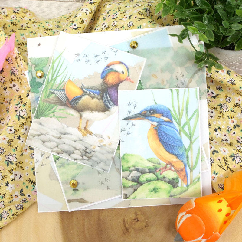 Botanical Birds Printed Parchment
