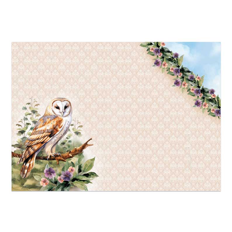 Beautiful Birds Deco-Large Set - Beautiful Barn Owl