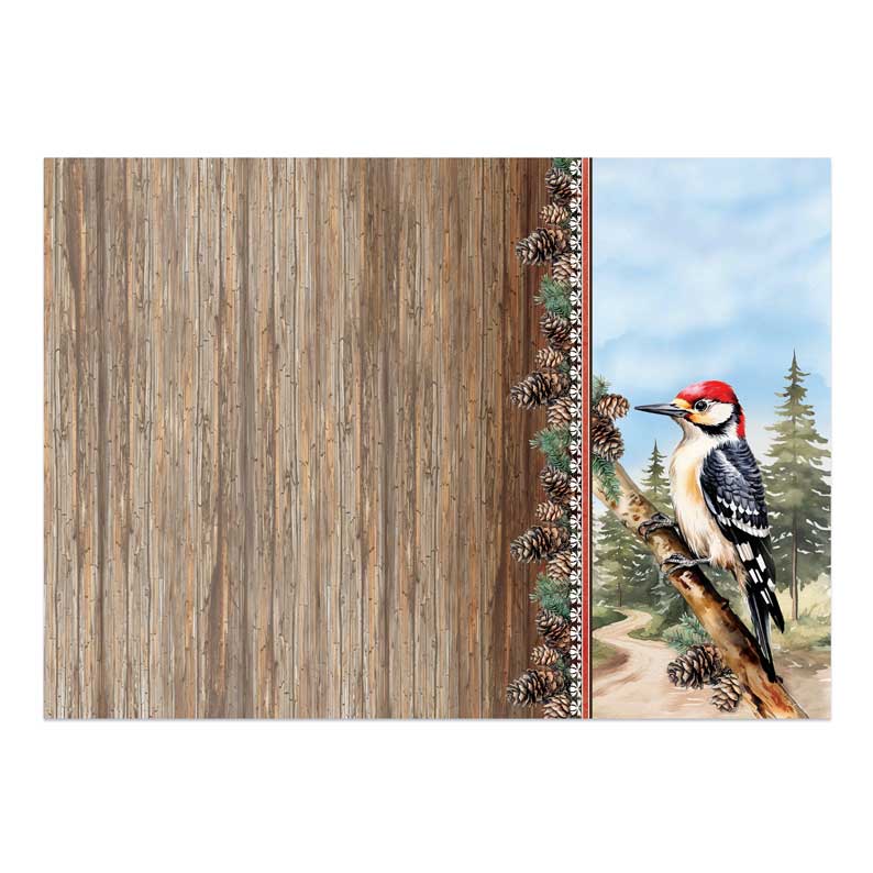 Beautiful Birds Deco-Large Set - Wonderful Woodpecker
