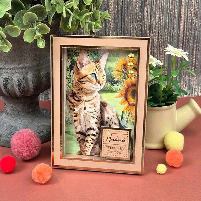 Pocket Pad Box Frames