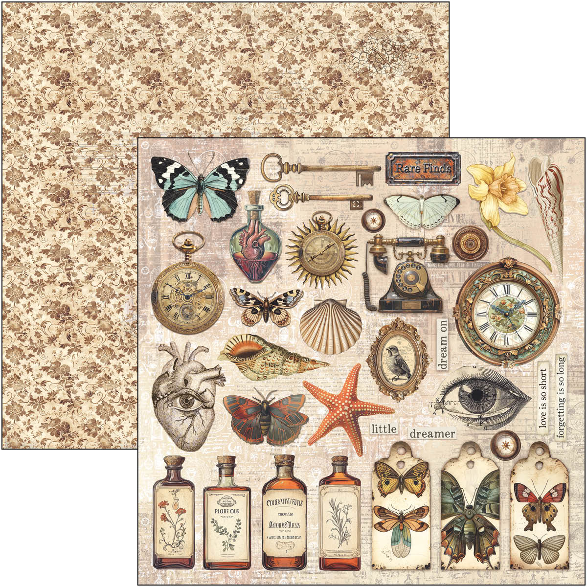 Cabinet Of Curiosities Pad 8"x8" 12/Pkg