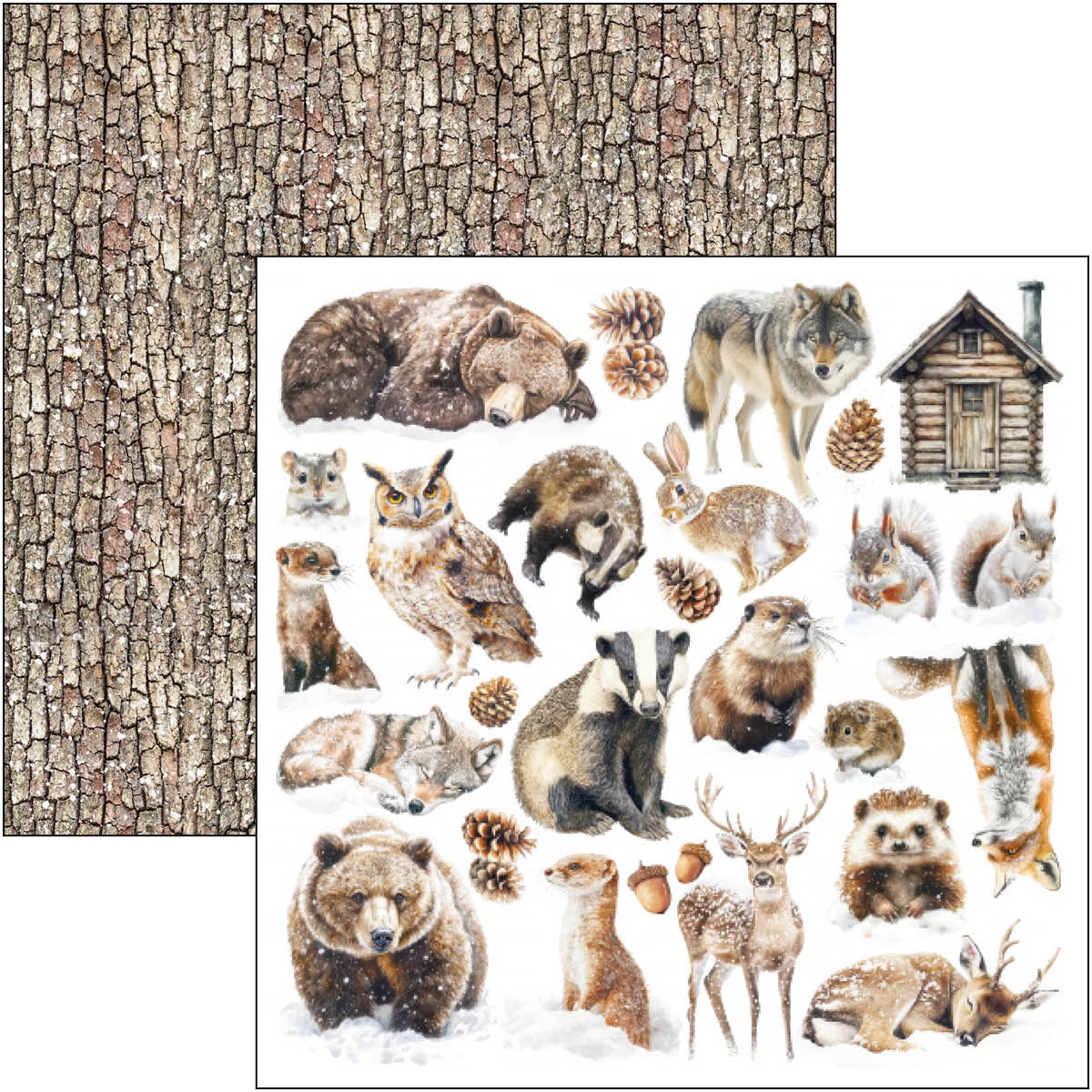 Forest Tales Pad 8"x8" 12/Pkg