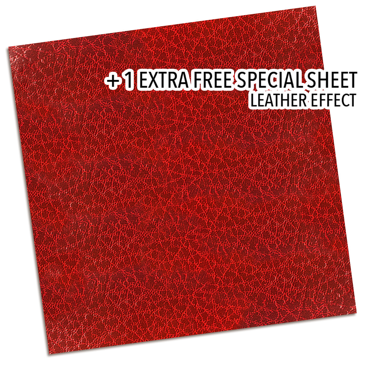 Book Lovers Pad 8"x8" 12/Pkg