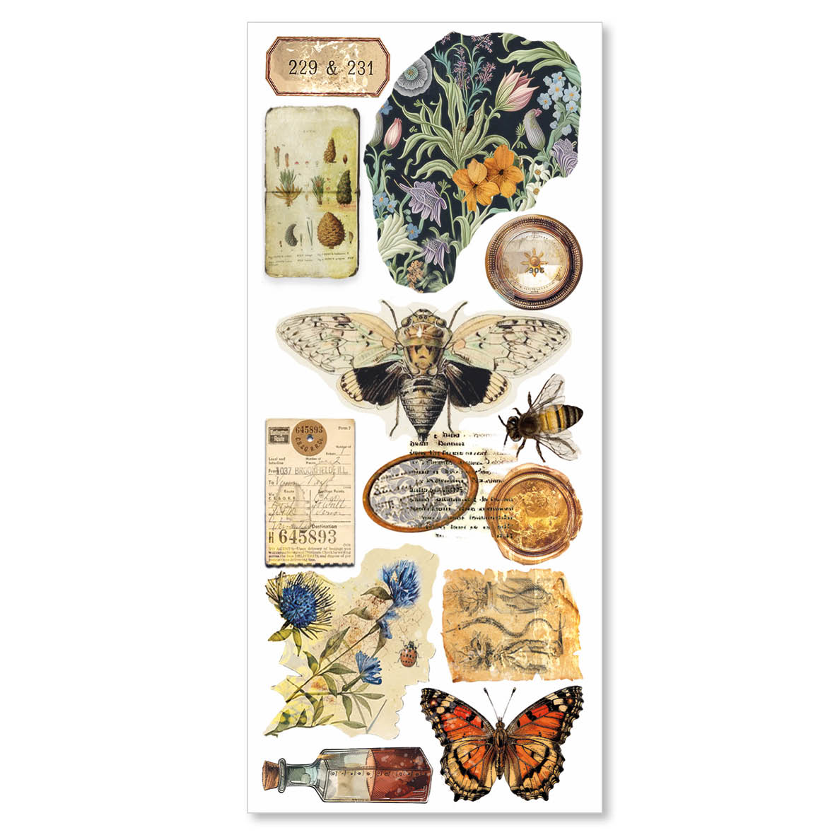 Cabinet Of Curiosities Transparent Adhesive Sheets 5/Pkg