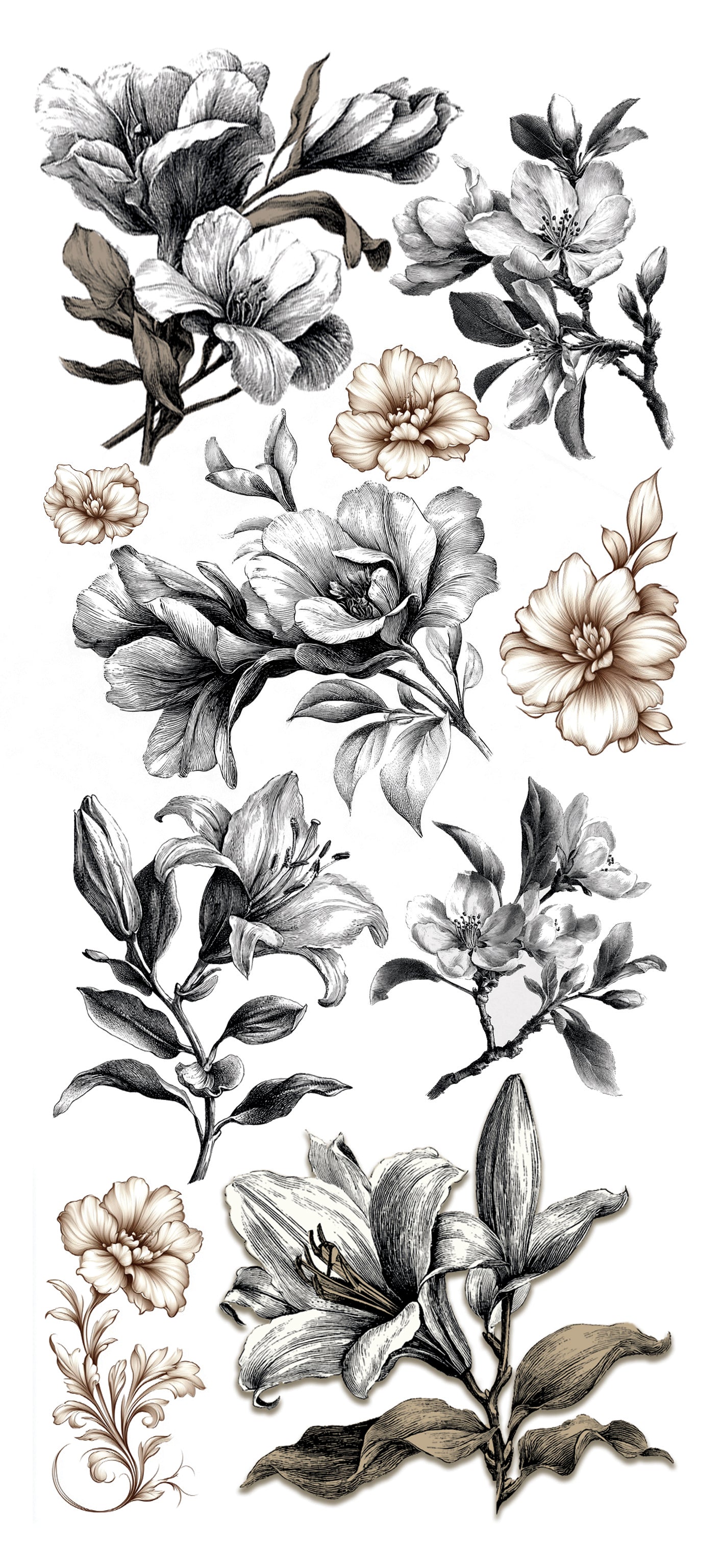 Typographic Art Stickers Transparent Adhesive Sheets 5/Pkg