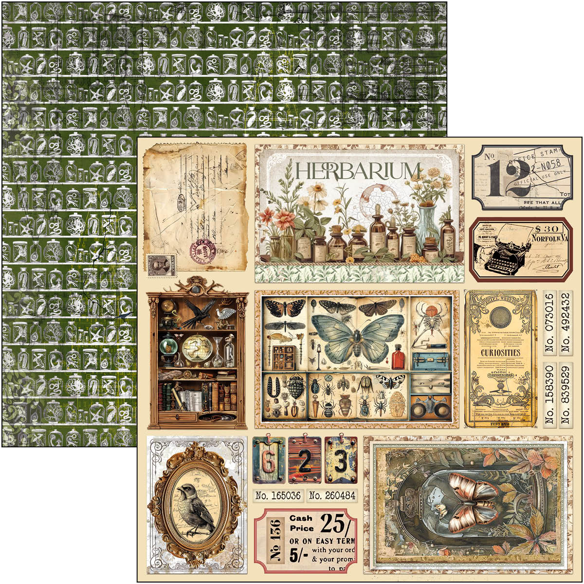 Cabinet Of Curiosities Paper Pad 12"x12" 12/Pkg