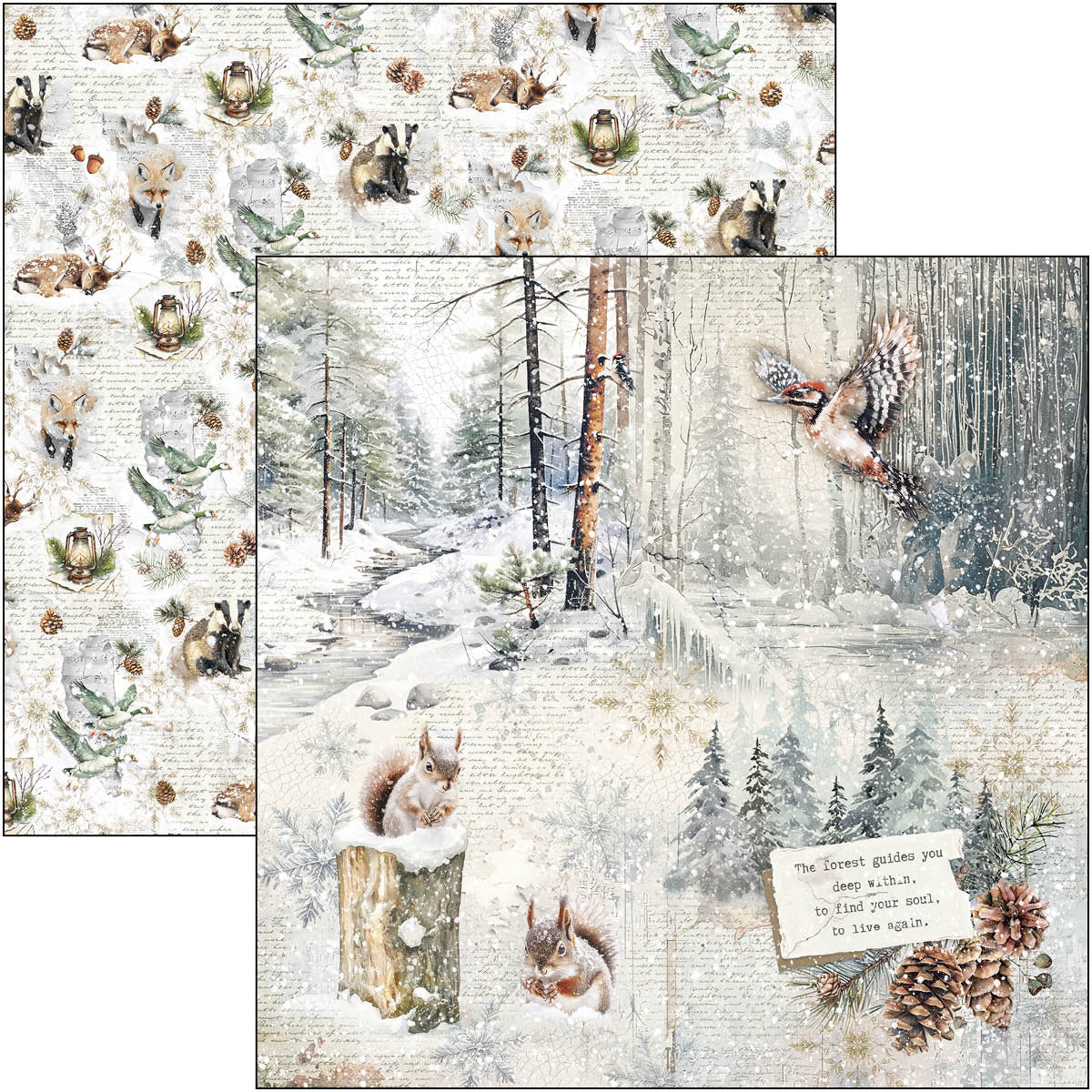 Forest Tales Paper Pad 12"x12" 12/Pkg