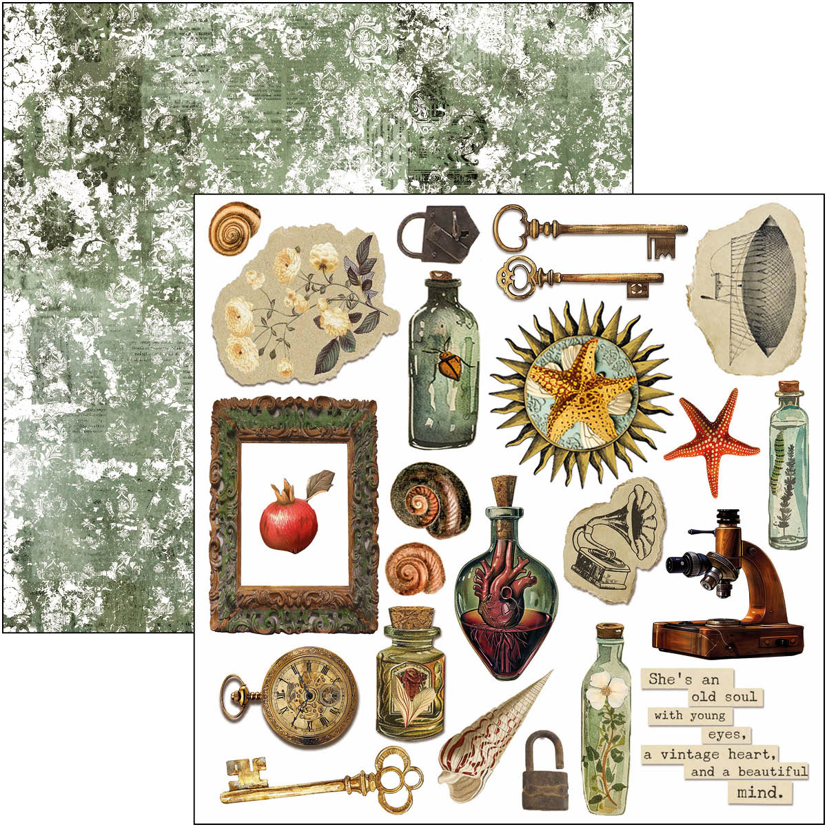 Cabinet Of Curiosities Fussy Cut Pad 6"x6" 24/Pkg