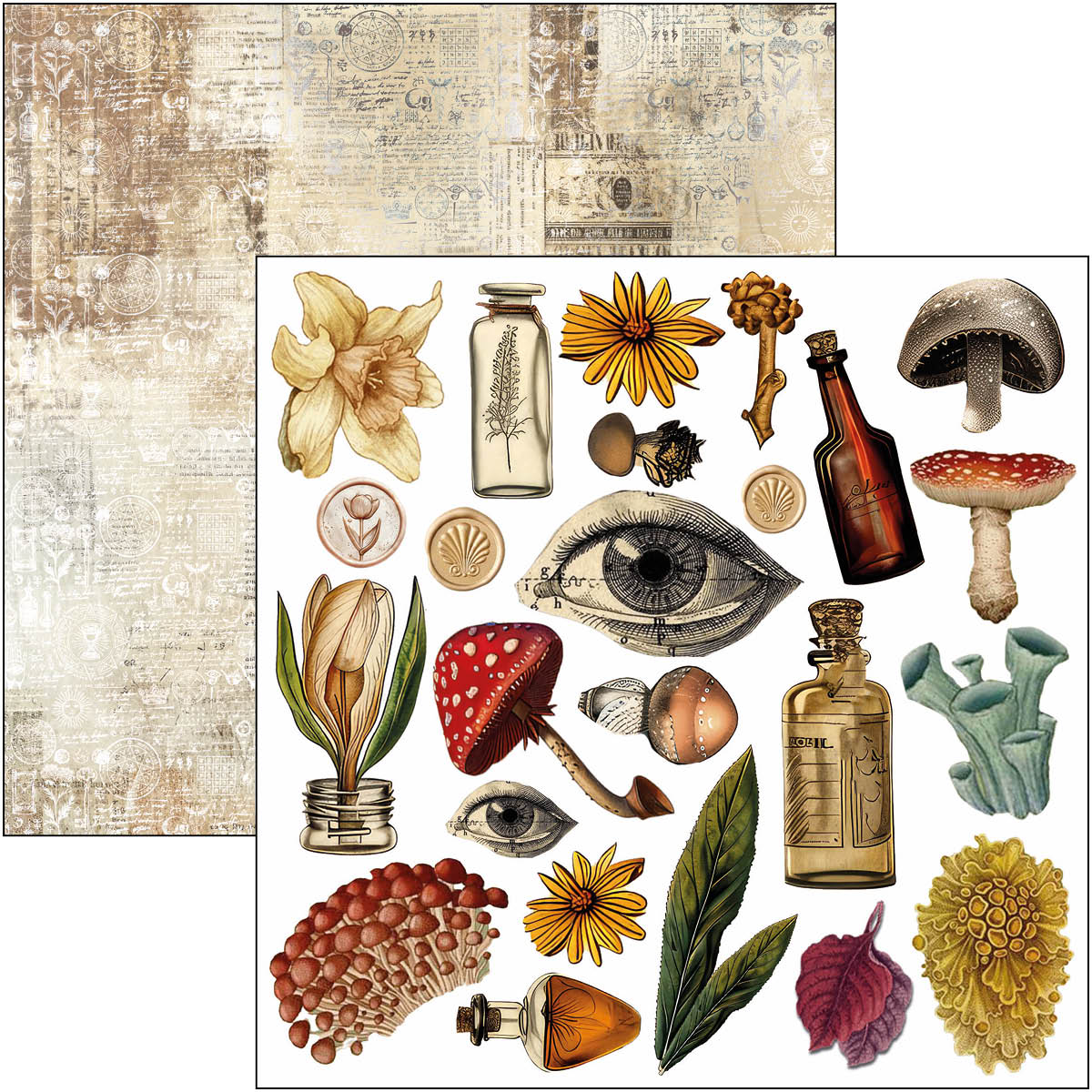 Cabinet Of Curiosities Fussy Cut Pad 6"x6" 24/Pkg