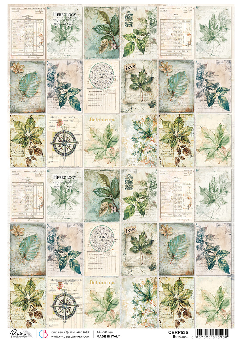 Rice Paper A4 Botanical - 5 Sheets