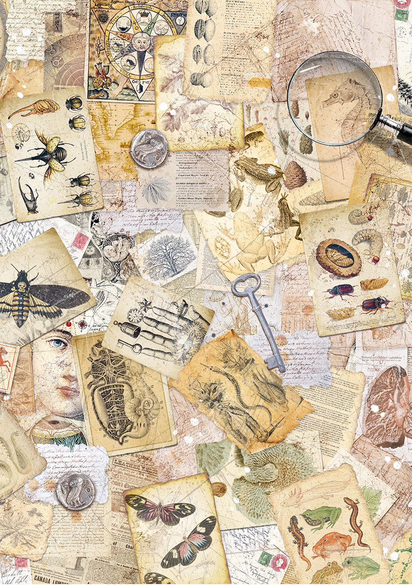 Rice Paper A5 MIXED 8/Pkg Cabinet Of Curiosities