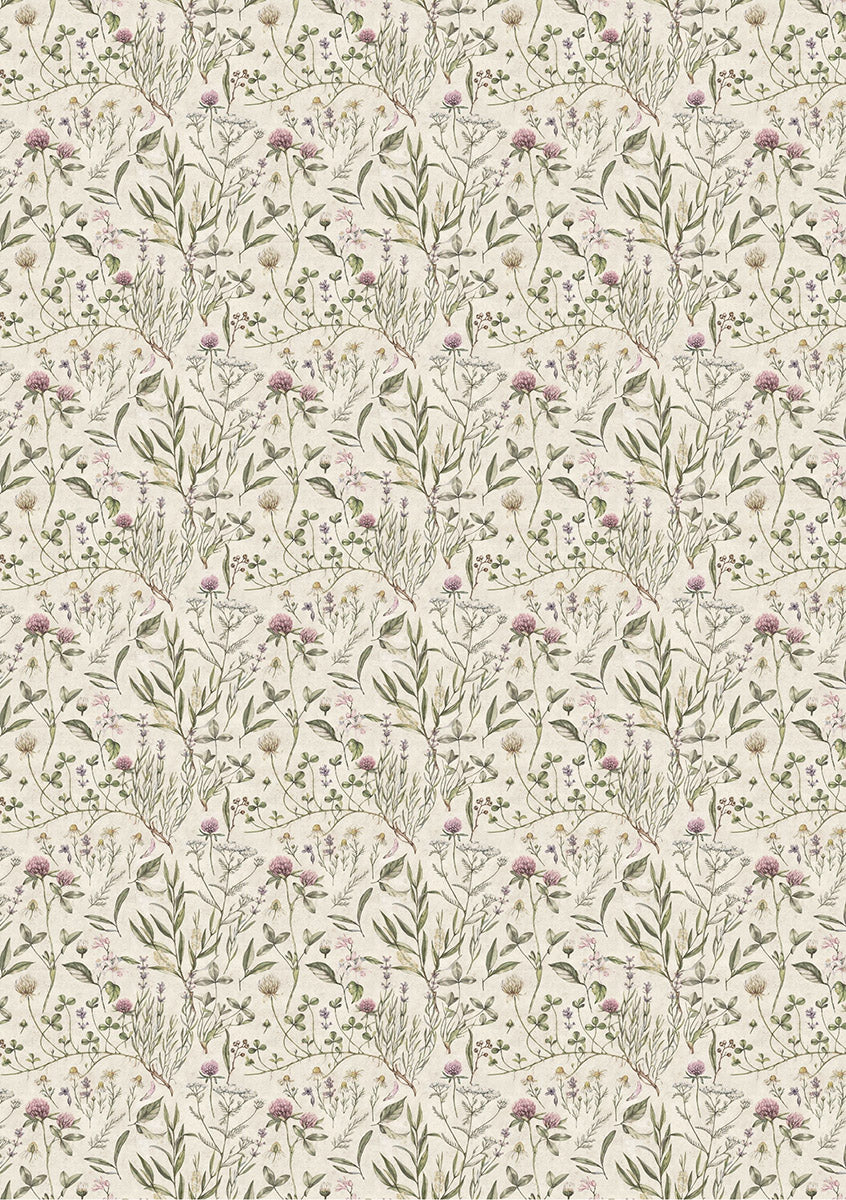 Rice Paper A5 MIXED 8/Pkg Codex