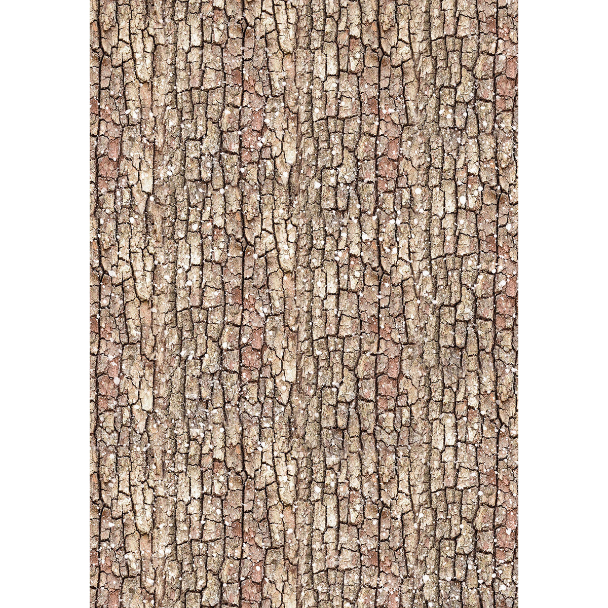 Rice Paper A5 MIXED 8/Pkg Forest Tales