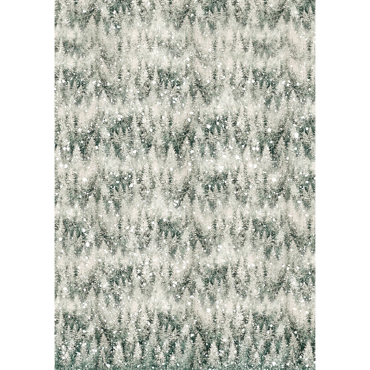 Rice Paper A5 MIXED 8/Pkg Forest Tales