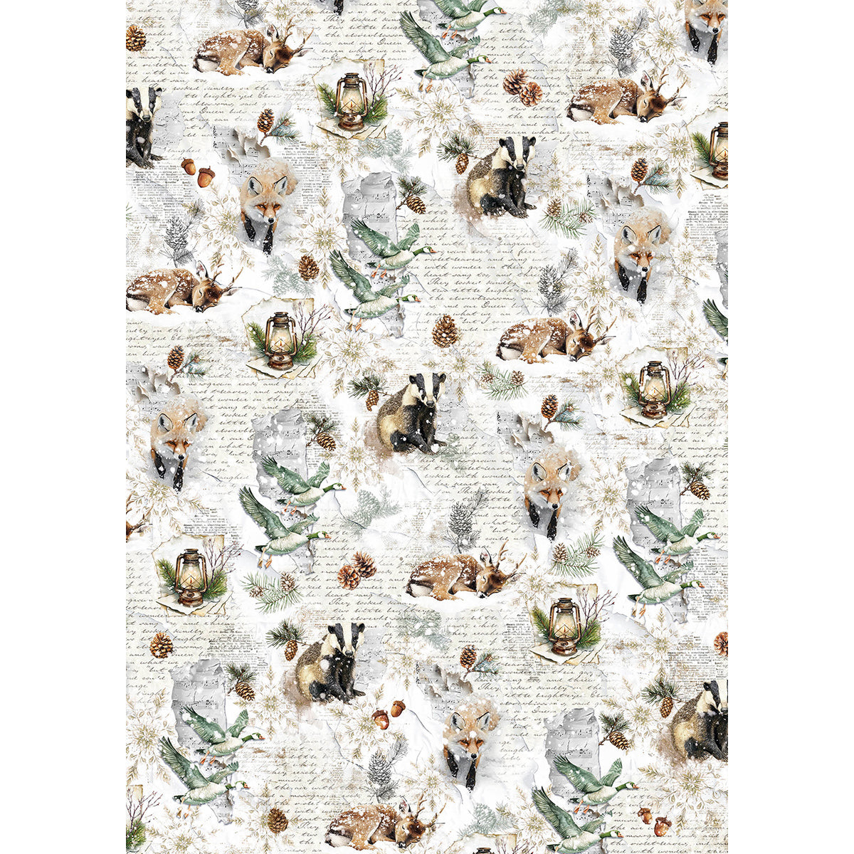 Rice Paper A5 MIXED 8/Pkg Forest Tales