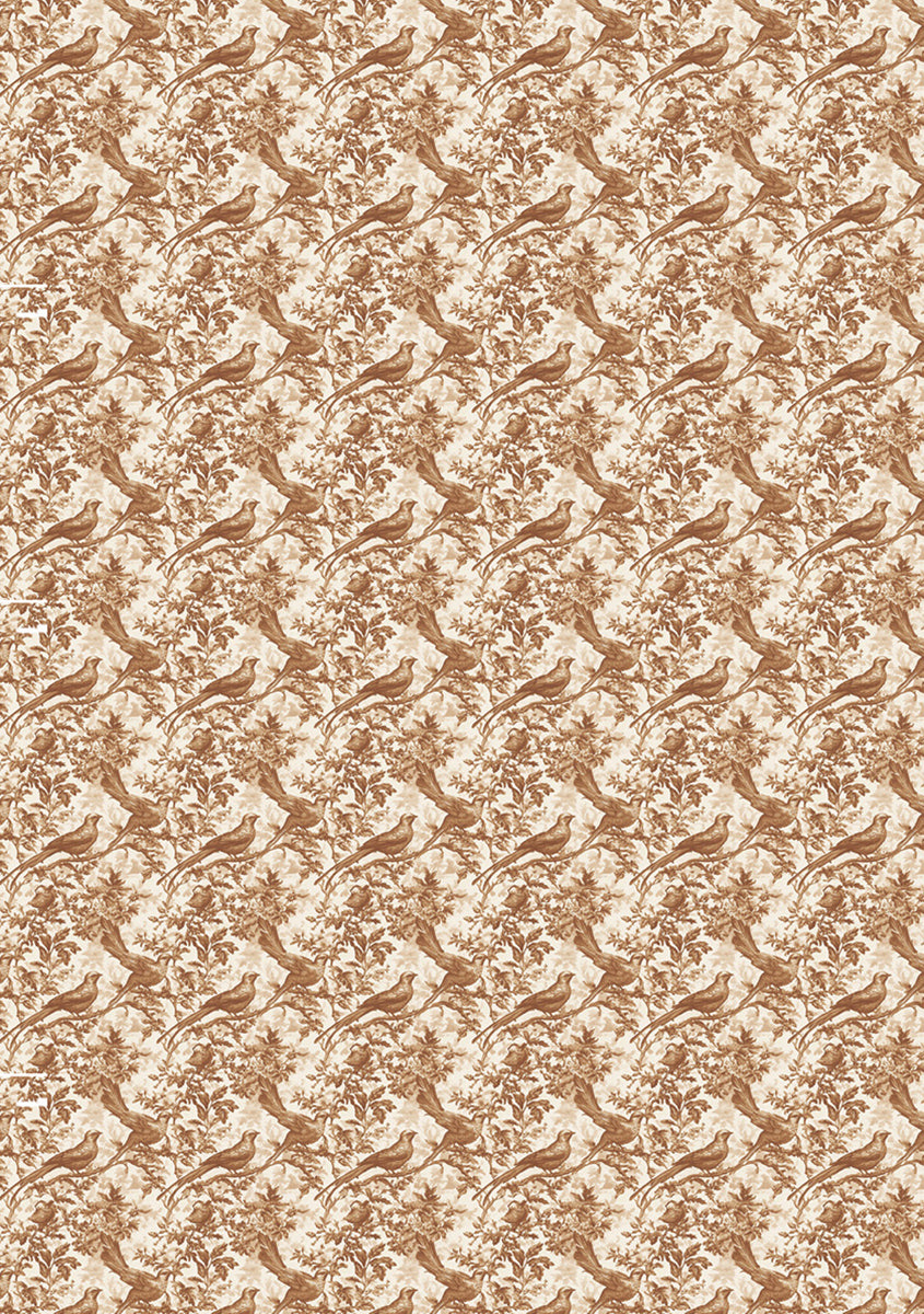 Rice Paper A5 MIXED 8/Pkg Book Lovers