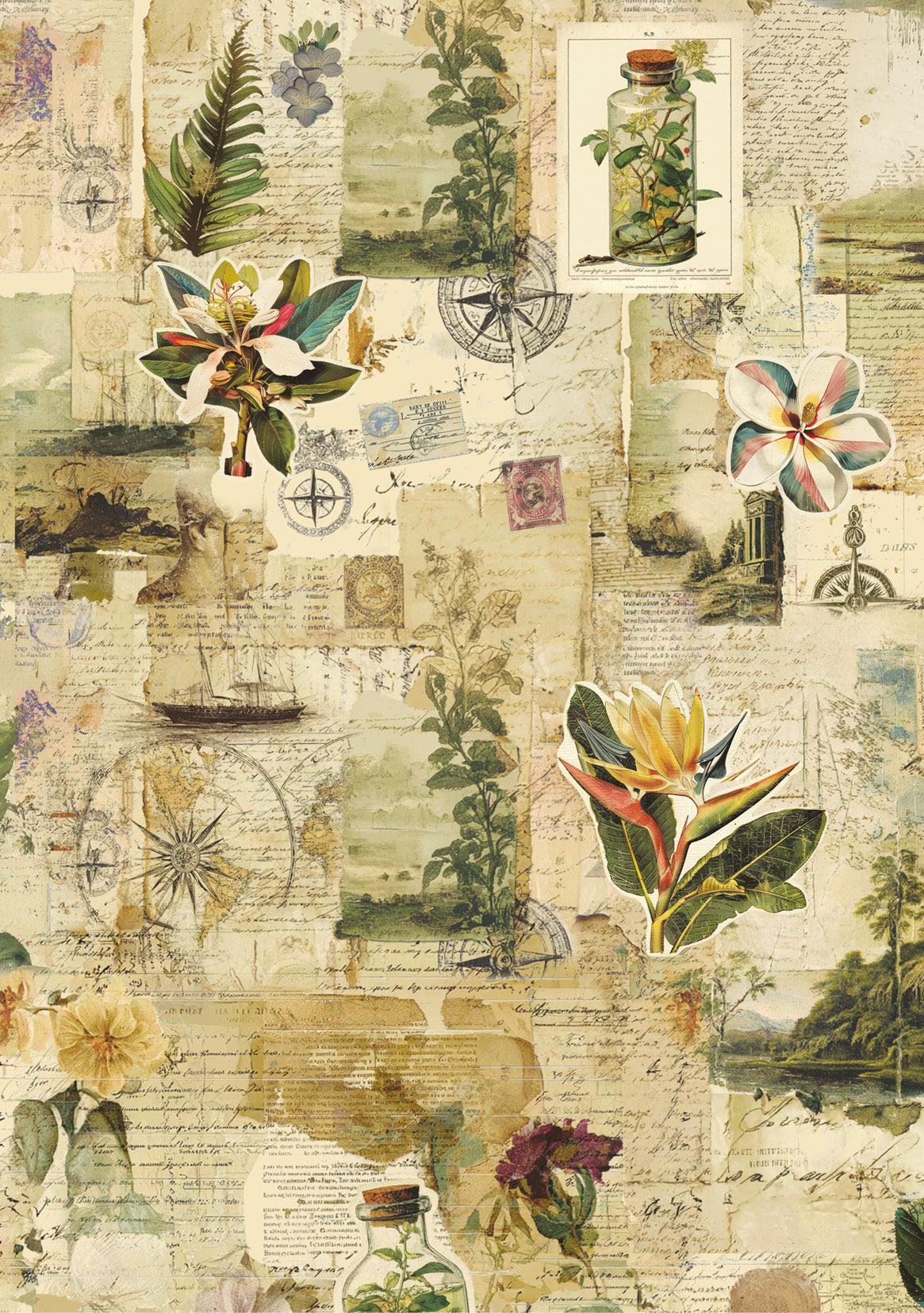 Rice Paper A5 MIXED 8/Pkg Jungle Vibes