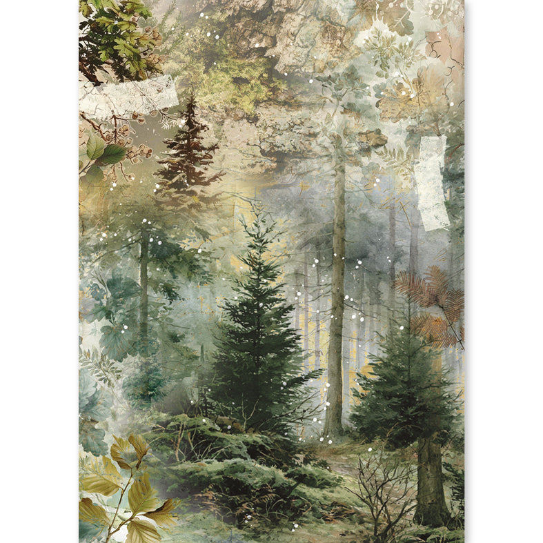 Rice Paper A5 MIXED 8/Pkg The Nature Journal