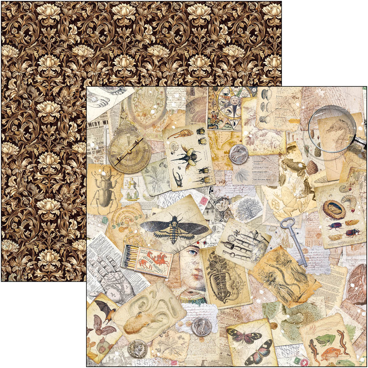 Cabinet Of Curiosities Patterns Pad 12"x12" 8/Pkg