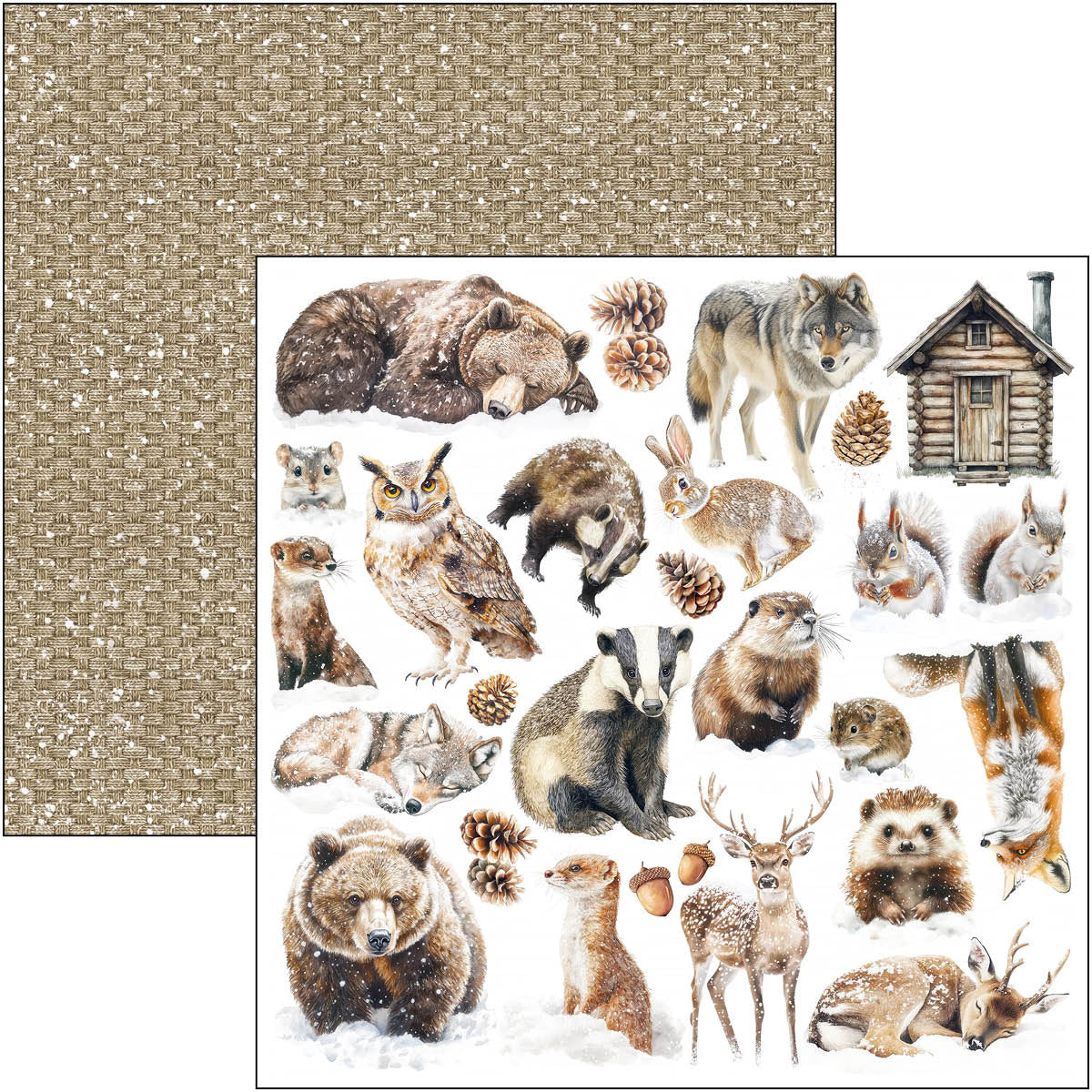 Forest Tales Patterns Pad 12"x12" 8/Pkg