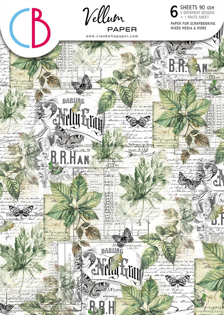 Vellum Cabinet Of Curiosities Paper Patterns A4 6/Pkg