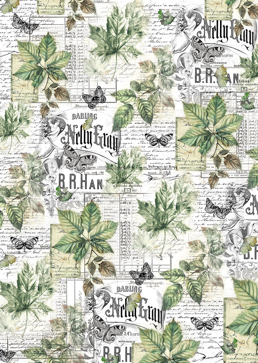 Vellum Cabinet Of Curiosities Paper Patterns A4 6/Pkg