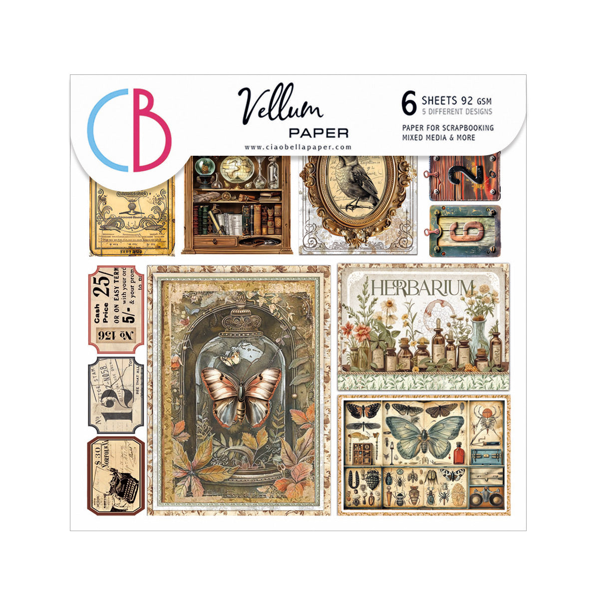 Vellum Cabinet Of Curiosities Fussy Cut 6"x6" 6/Pkg