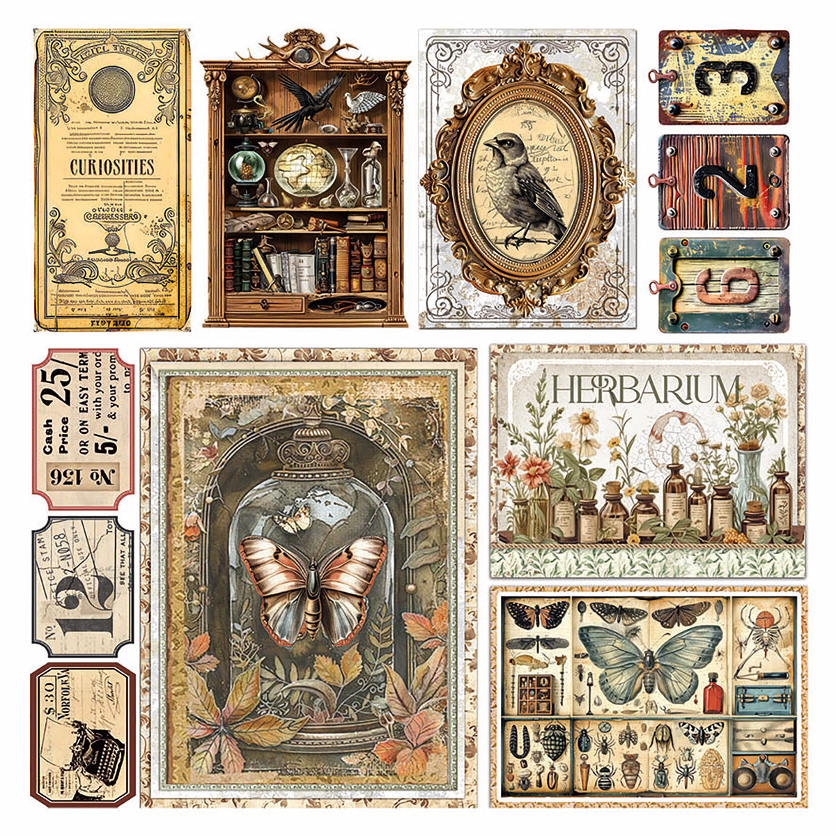 Vellum Cabinet Of Curiosities Fussy Cut 6"x6" 6/Pkg