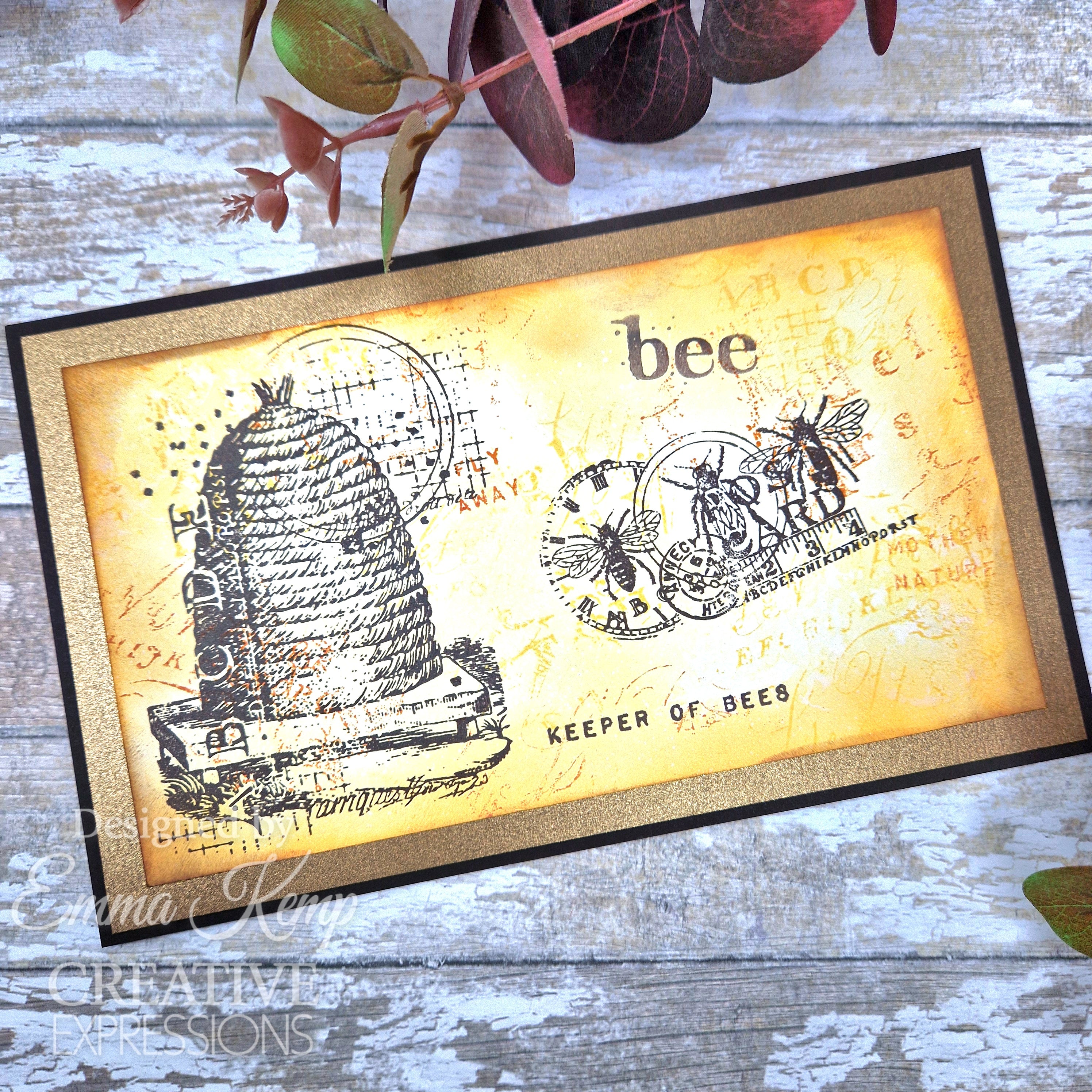 Creative Expressions Sam Poole Bee 4 in x 6 in Clear Stamp Set