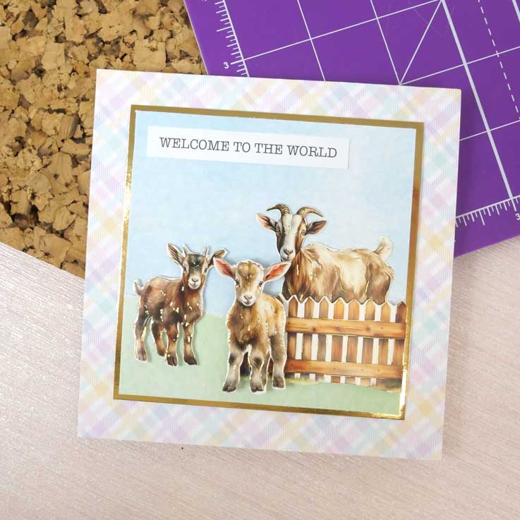 Delightful Die-Cuts - Evergreen Farm