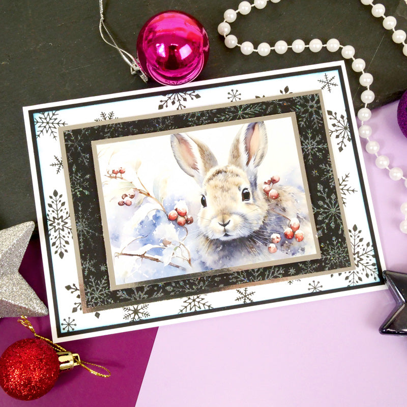 For the Love of Stamps - Frosted Frame & Splendid Snowflakes