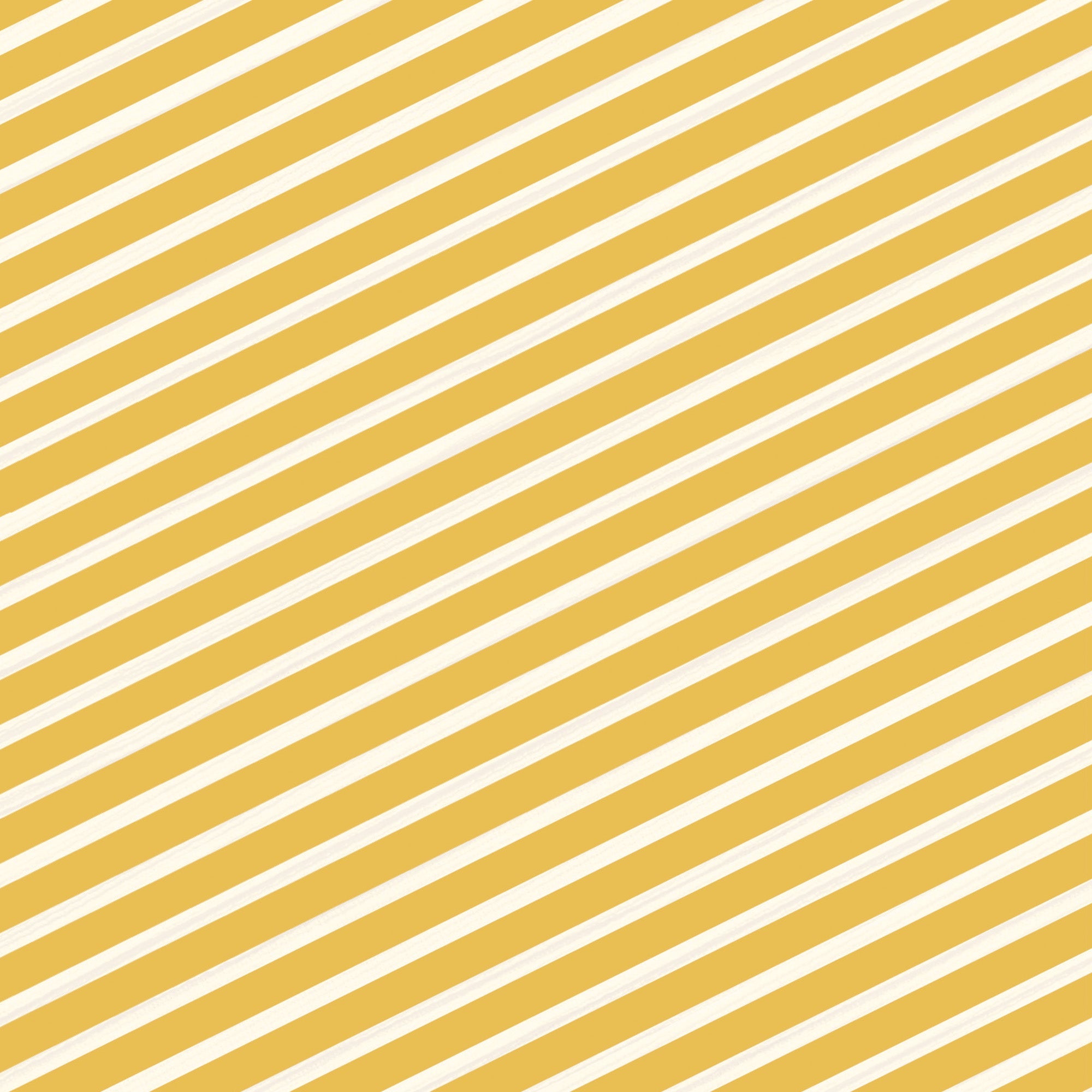 Crafter’s Companion Celebrate Good Times Collection - 6”x6” Paper Pad