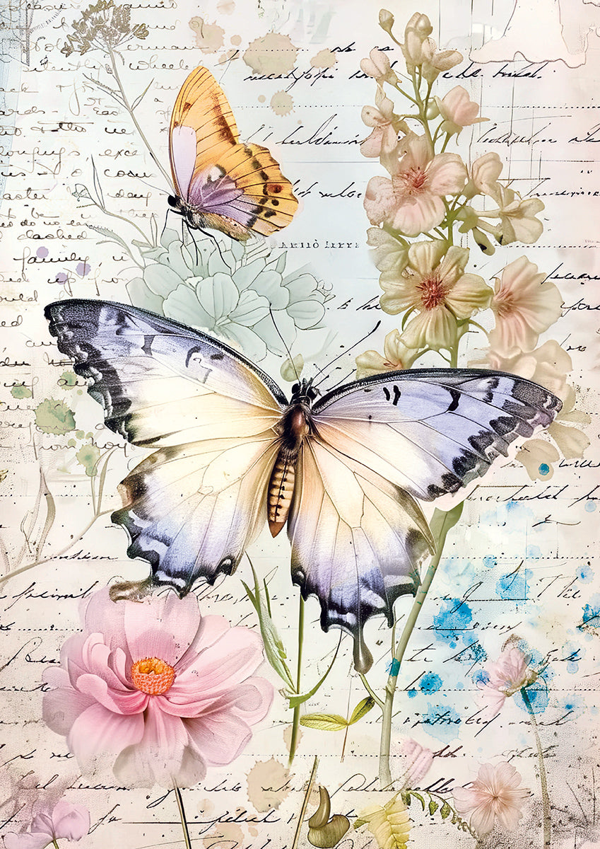 Tissue Paper A4 6/Pkg Whimsical Butterflies