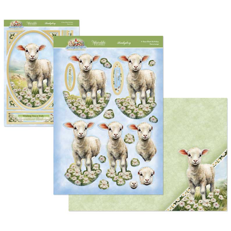 Spring is Here Deco-Large Set - A Boo-rilliant Birthday