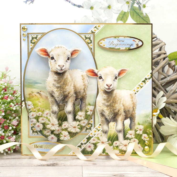 Spring is Here Deco-Large Set - A Boo-rilliant Birthday