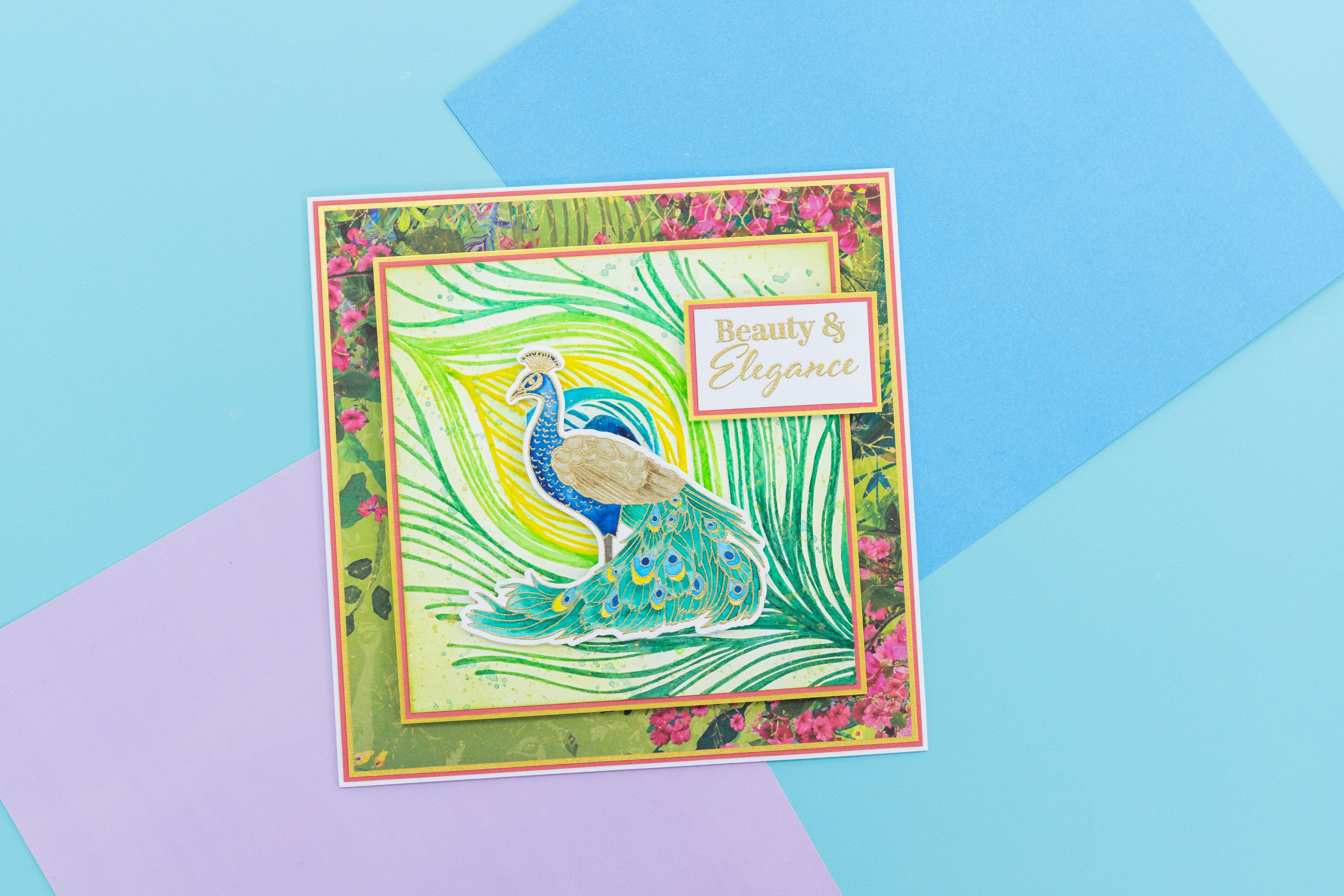 Graceful Plumes 3D Embossing Folder 5.5”x5.5” - Peacock Feather