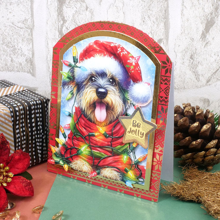 The Little Book of All Tangled Up