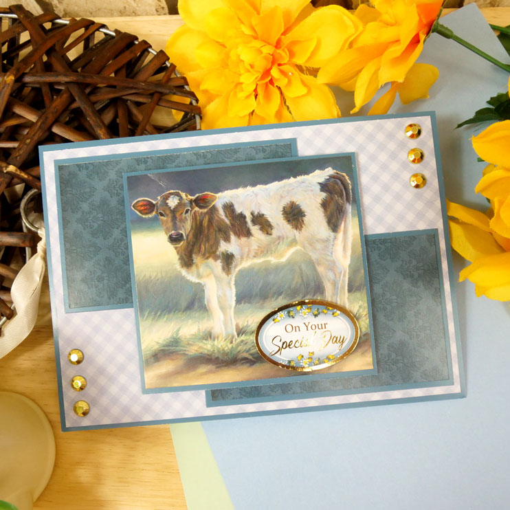 In the Countryside Luxury Inserts & Papers