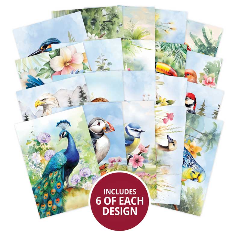 The Little Book of Beautiful Birds