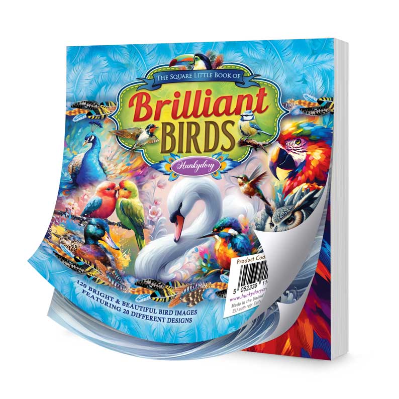 The Square Little Book of Brilliant Birds
