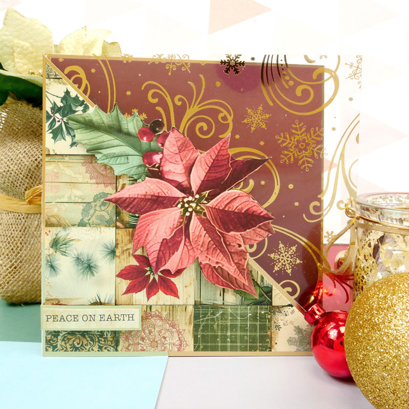 Luxury Festive Foiled Acetate - Essential Selection