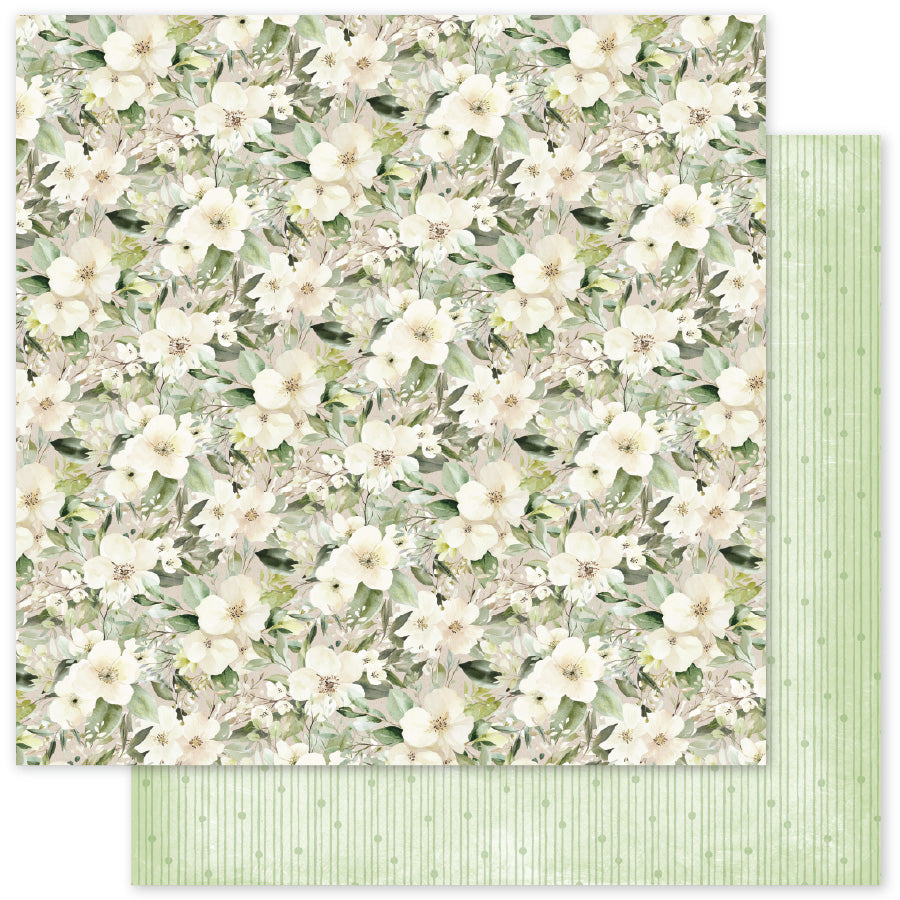 Little Koala Adventures Basics F 12x12 Paper (12 pc Bulk Pack) 36688