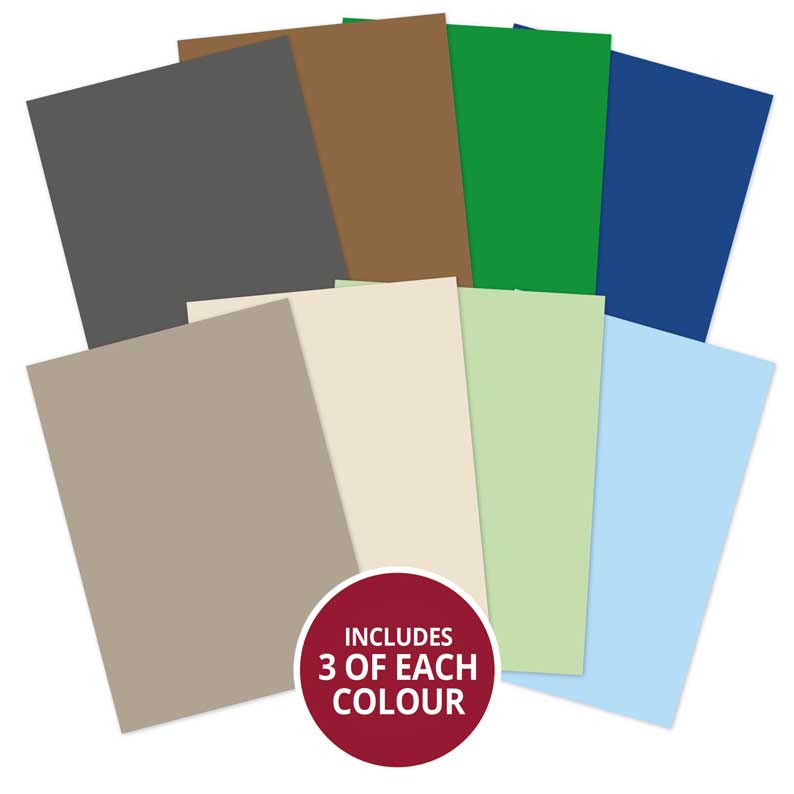 Botanical Birds Matt-tastic Adorable Scorable Selection