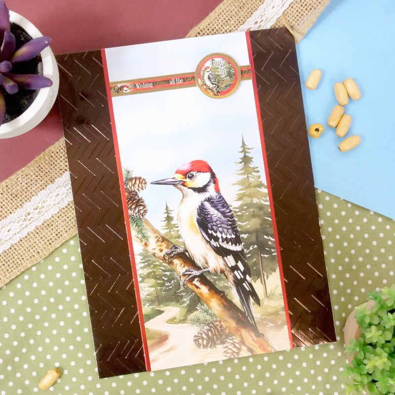 Beautiful Birds Mirri Selection