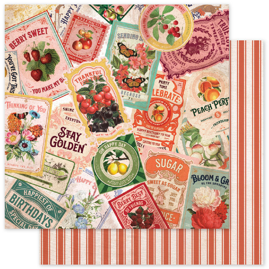 Meadowbrook Farm Basics 6x6 Paper Collection 35040